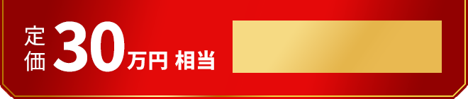 定価30万円相当